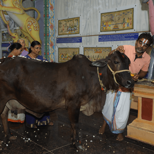 gruhapra2