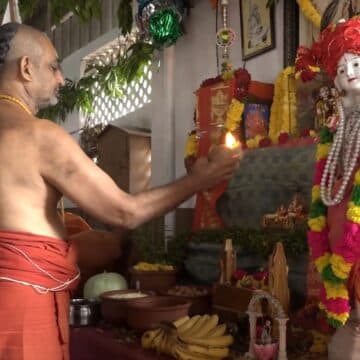Herd in motion across the gosala grounds.