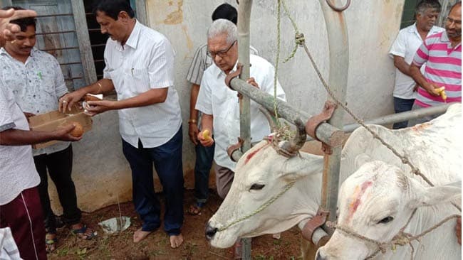Free Veterinary Camp at Dhulikatta Karimnagar